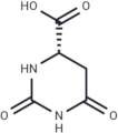L-Dihydroorotic acid