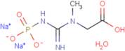 Phosphocreatine disodium hydrate