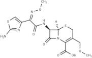 Cefpodoxime (free acid)