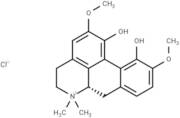 (+)-Magnoflorine chloride