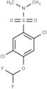 2,5-dichloro-4-(difluoromethoxy)-N,N-dimethylbenzene-1-sulfonamide