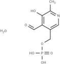 Pyridoxal 5'-phosphate hydrate