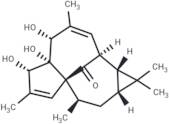 20-DEOXYINGENOL