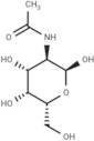 N-Acetyl-D-galactosamine