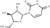 1-β-D-Arabinofuranosyluracil