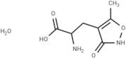 (RS)-AMPA monohydrate