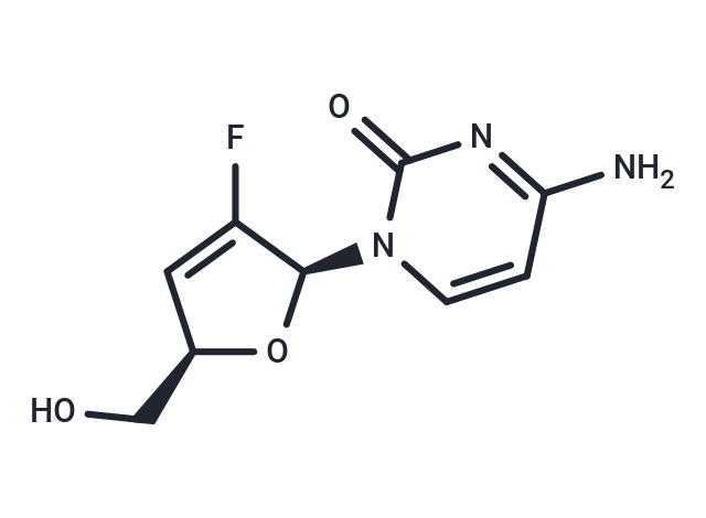 L-2'-Fd4C