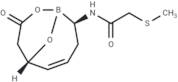 β-Lactamase-IN-8