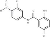 SARS-CoV-2-IN-13