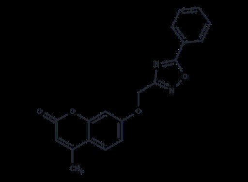 hCAIX/XII-IN-2