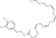 N-Arachidonyldopamine