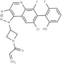 KRAS G12C inhibitor 53