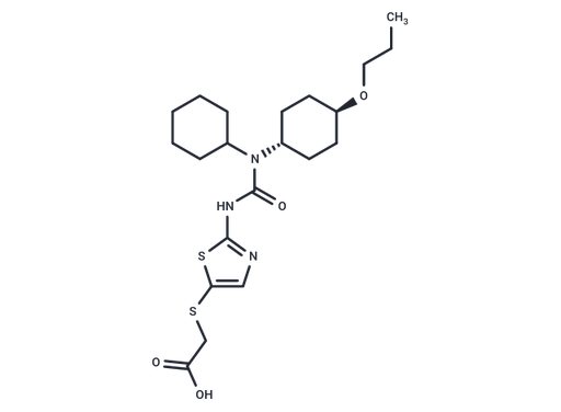 Cadisegliatin