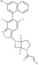 KRAS inhibitor-13