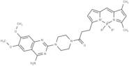 BODIPY FL prazosin