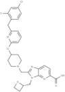 GLP-1R agonist 10