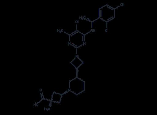 RPT193