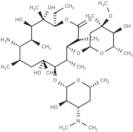 Erythromycylamine