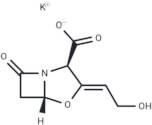 Clavulanate potassium