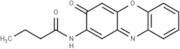 Questiomycin A derivatives 12