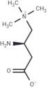 Aminocarnitine