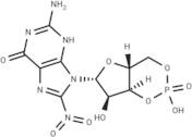 8-Nitro-cGMP