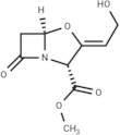 Clavulanic Acid Methyl Ester