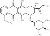 Epirubicin