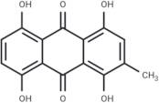 Cynodontin