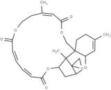 Verrucarin J