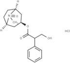 Atropine Oxide Hydrochloride