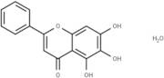 Baicalein monohydrate