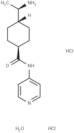 Y27632 HCl hydrate