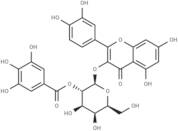 2"-O-Galloylhyperin