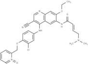 Neratinib pyridine N-oxide