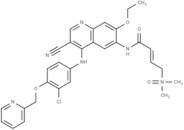 Neratinib dimethylamine N-oxide