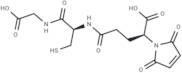 Glutathione maleimide