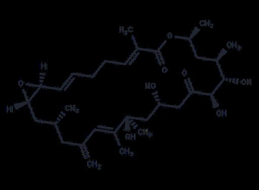 Amphidinolide D