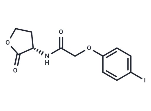 RhlR Antagonist E22