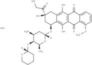 Pirarubicin HCl