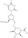 Zidovudine glucuronide