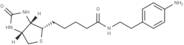 Biotin-aniline