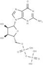 Guanosine 5'-diphosphate