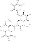 Lewis y tetrasaccharide