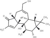 4-Deoxy-4α-phorbol