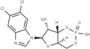 Sp-5,6-DCl-cBIMPS