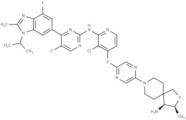 SHP2/CDK4-IN-1