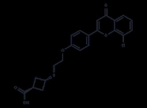 trans-ccc_R08