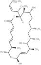 Dictyostatin