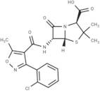 Cloxacillin